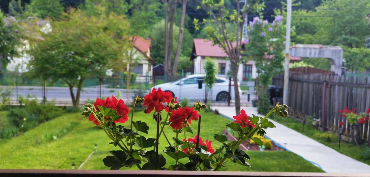 Holiday home Casa Bunicilor